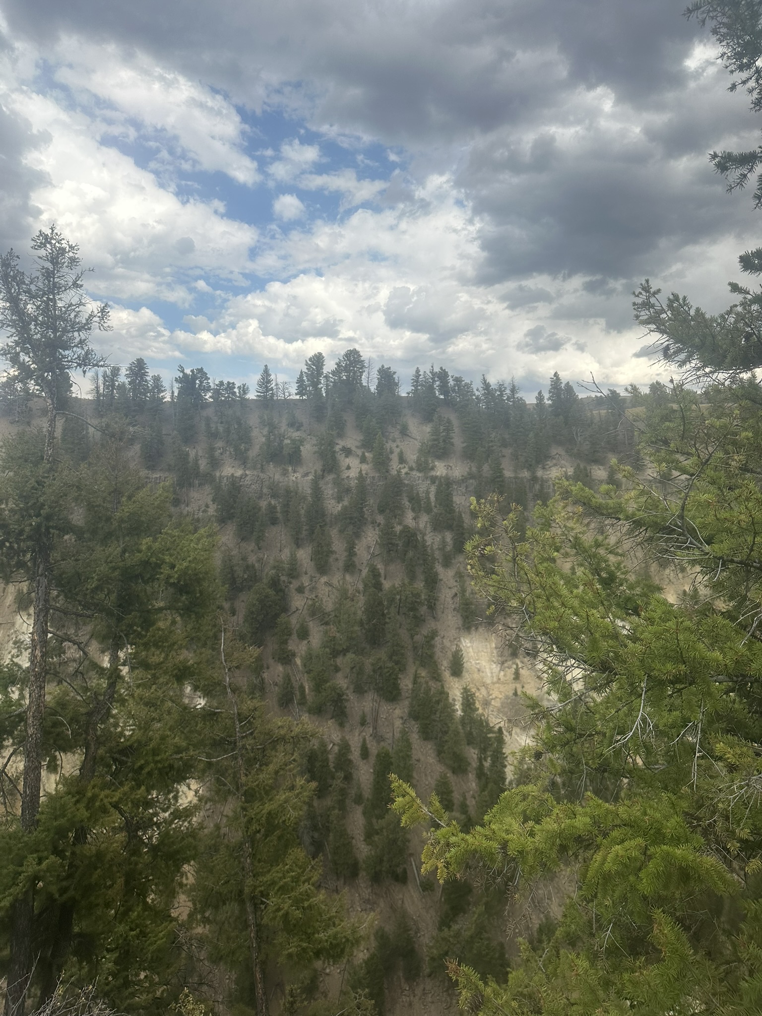 Yellowstone And Grand Teton National Parks - Image 860